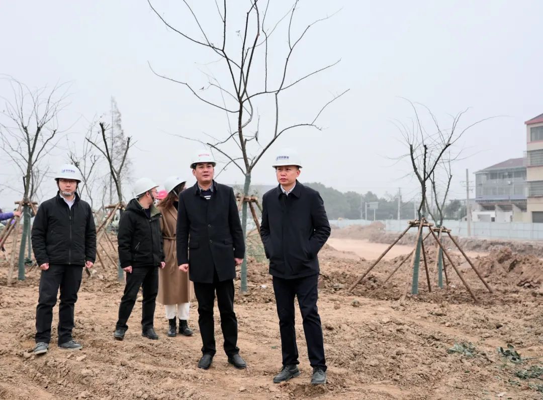 張?jiān)骑w率隊(duì)調(diào)研白云園林公司 聚焦在建項(xiàng)目與樹木種植經(jīng)營(yíng)，推動(dòng)綠色發(fā)展新篇章